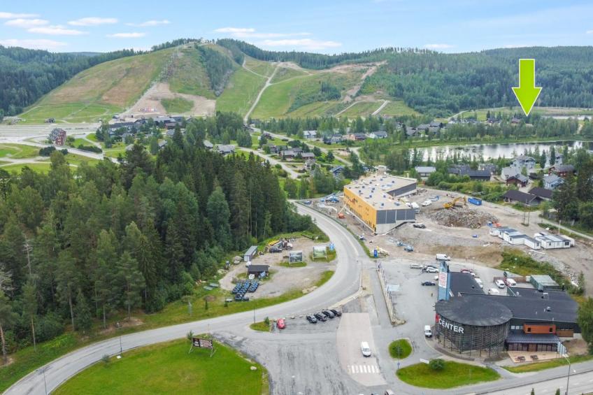 Himosaurinko - foto 5