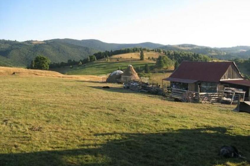 Casa Crina in Karpaten-Dorf in Siebenbürgen - foto 69