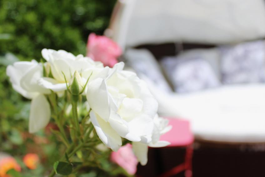 La maison des Vendangeurs 6 - foto 35