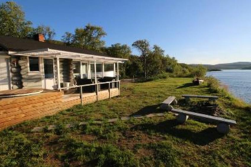 Karetörmä - foto 2