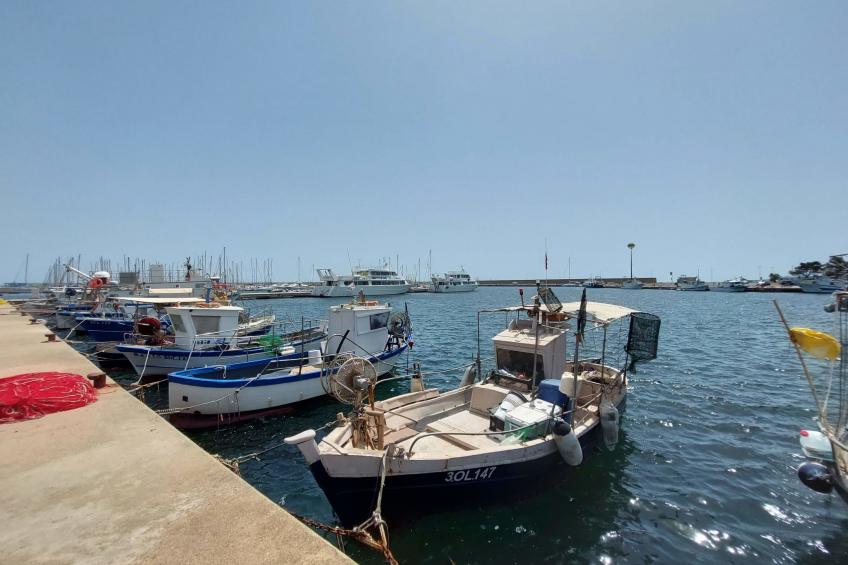 Haus in La Caletta mit Garten und Grill - foto 46