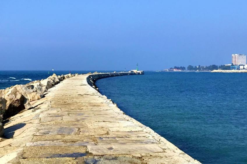 mit Blick auf das Wasser - foto 46