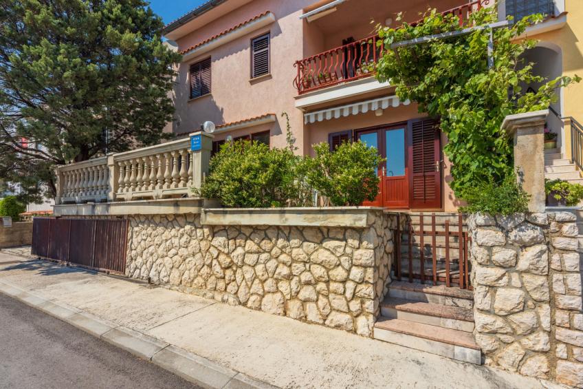 Agava veliki / HR-11139-02 - foto 4