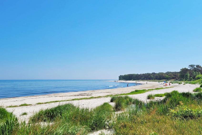 FUGLEKONGEN - foto 44