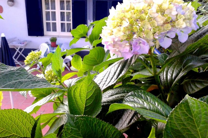 La Terrazza - foto 11