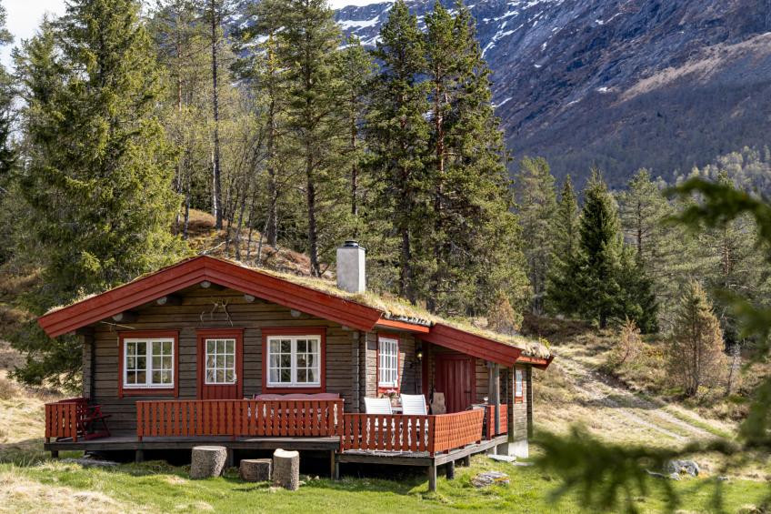 Fjellbris (FJS106) - foto 24