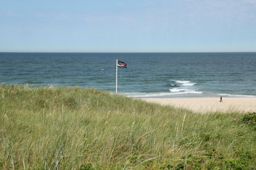 Luxe Lodge aan de Duinen - foto 15