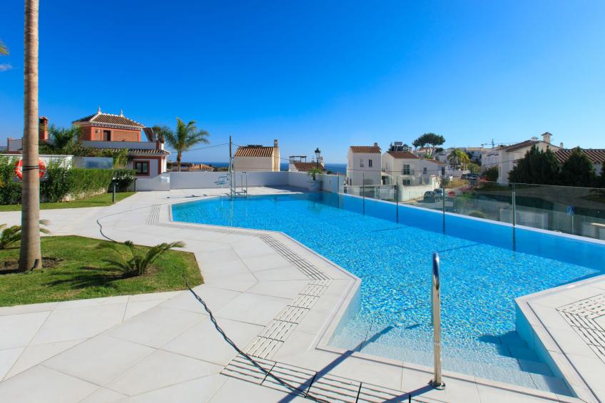 Royal Palm - foto 24