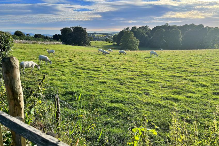 Ivy Cottage - foto 5