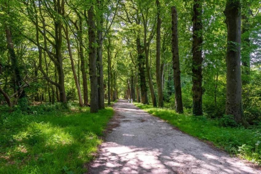 Waterpark Terkaple 1 - foto 19