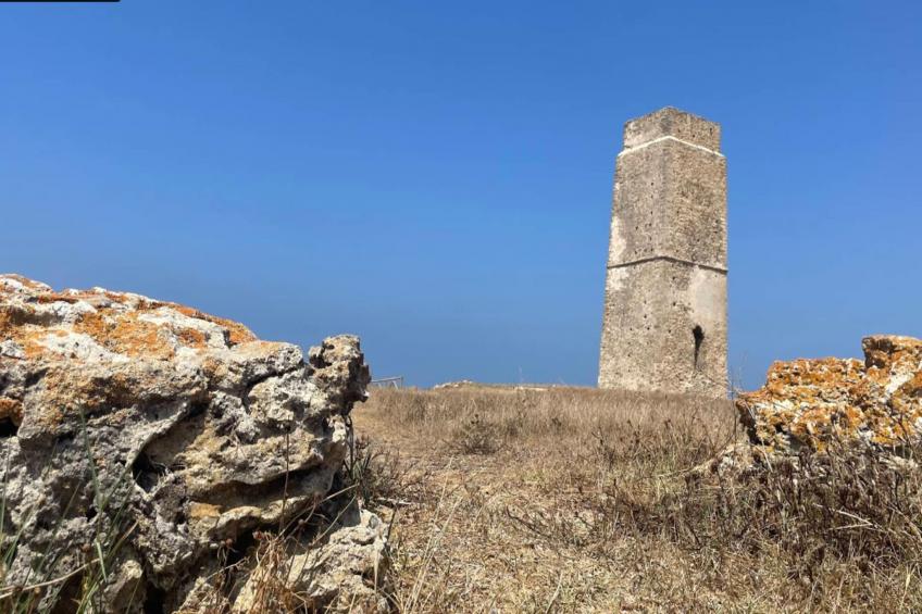 5024 -+34672427629 - foto 17