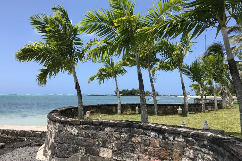 in Roches Noires mit Großem Garten - foto 38