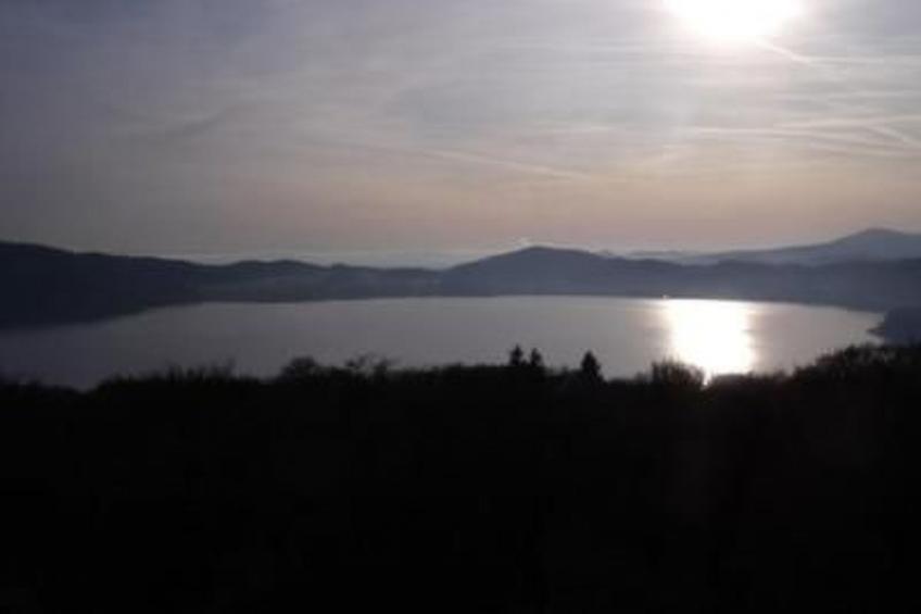 Am Waldrand - foto 28