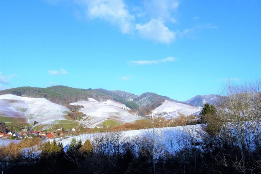 Traumwohnung - foto 62