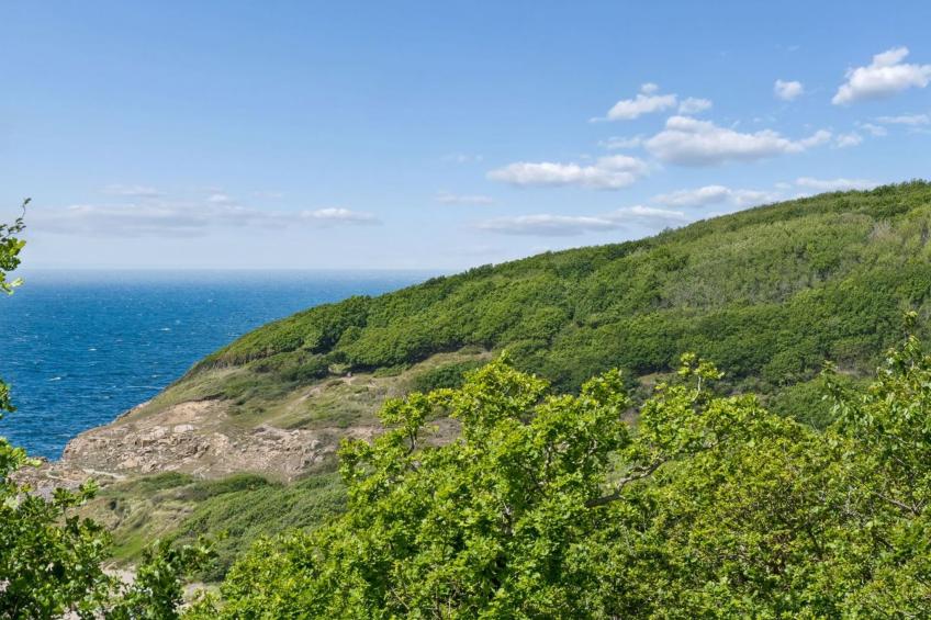 "Arnt" - 100m from the sea - foto 21