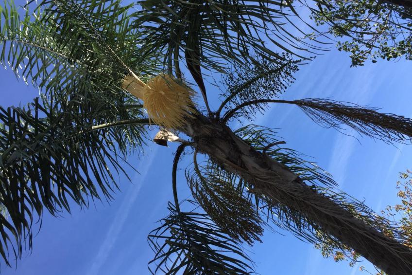 Villa "Vivenda Vila Nova" - foto 18