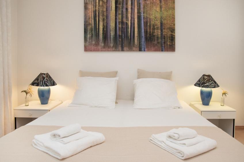 Alpes et Lac - foto 3