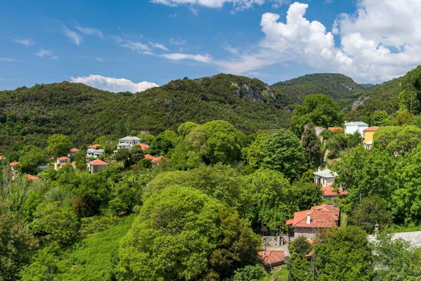 Villa Palios Stathmos - foto 32