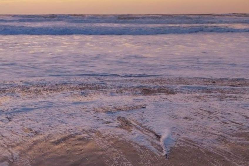 Villa Cocoon Contis-plage 1 chambre - foto 29