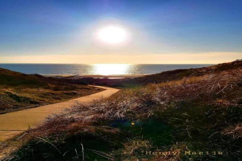 Noordzee Résidence Dishoek - foto 22
