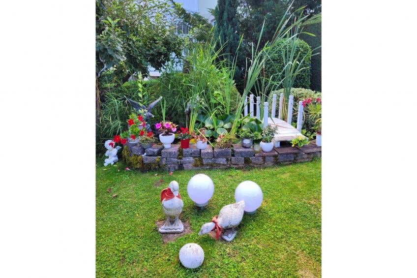 Blankenburg - foto 19