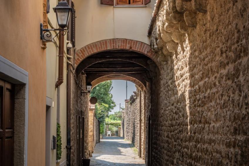 Flache Kornblume - foto 11