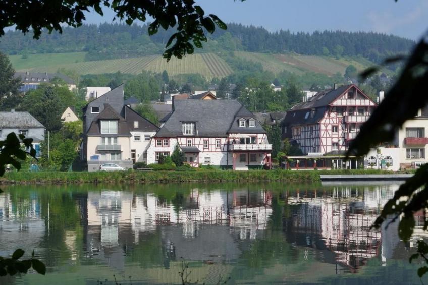 Moseljuwel-Traumferien Ferienwohnung - foto 3