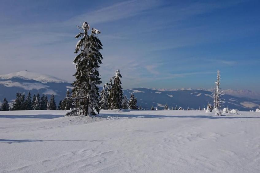 Nettes Ferienhaus in Telgárt - foto 15