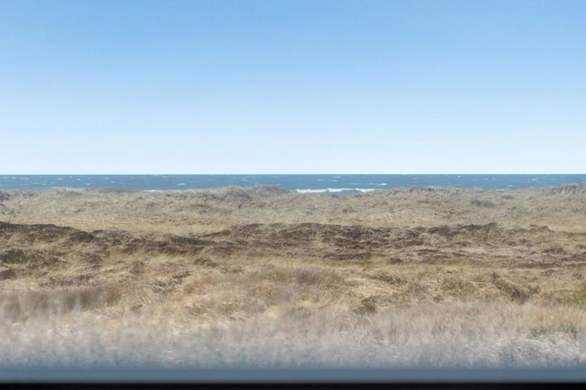 "Dania" - 300m from the sea in NW Jutland - foto 18