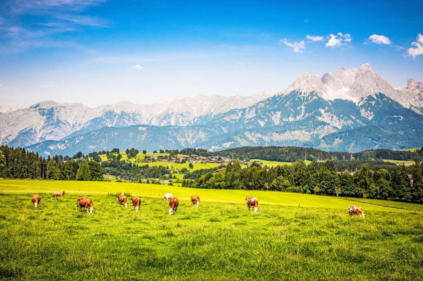 Hanserbauer - foto 40