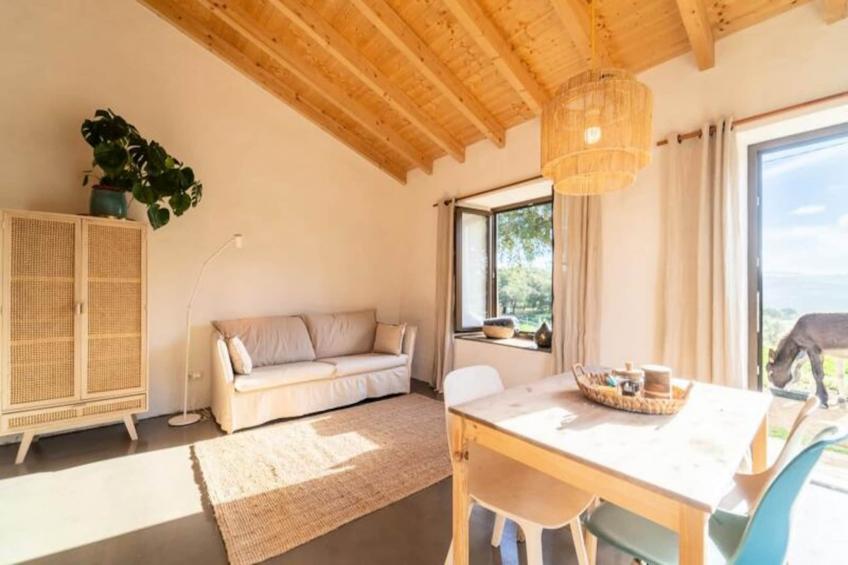 Casinha Da Paz - foto 6