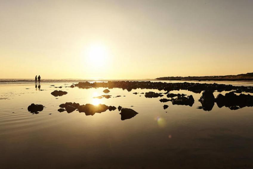 Maison à Landevieille - foto 32