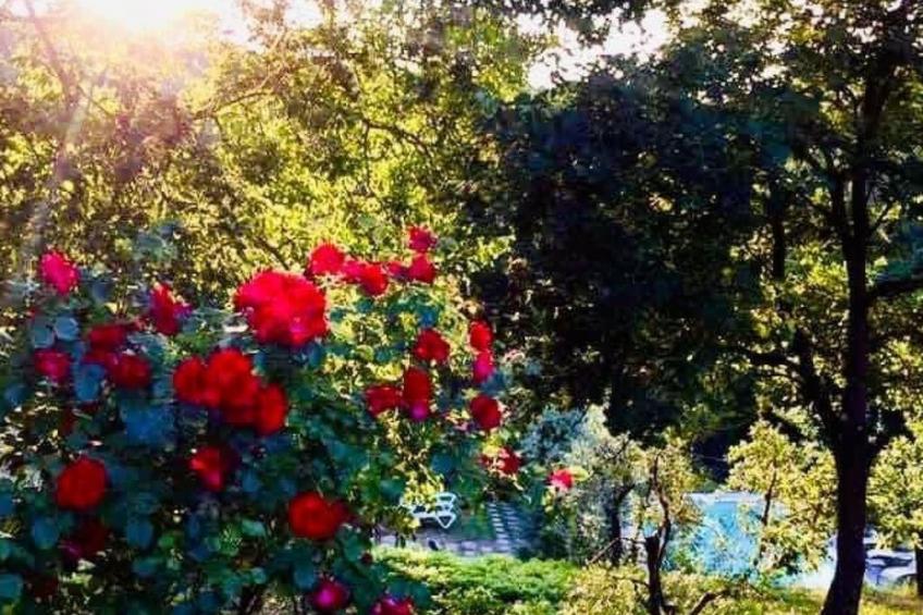 Wohnung in Monte San Savino mit Großem Grill - foto 48