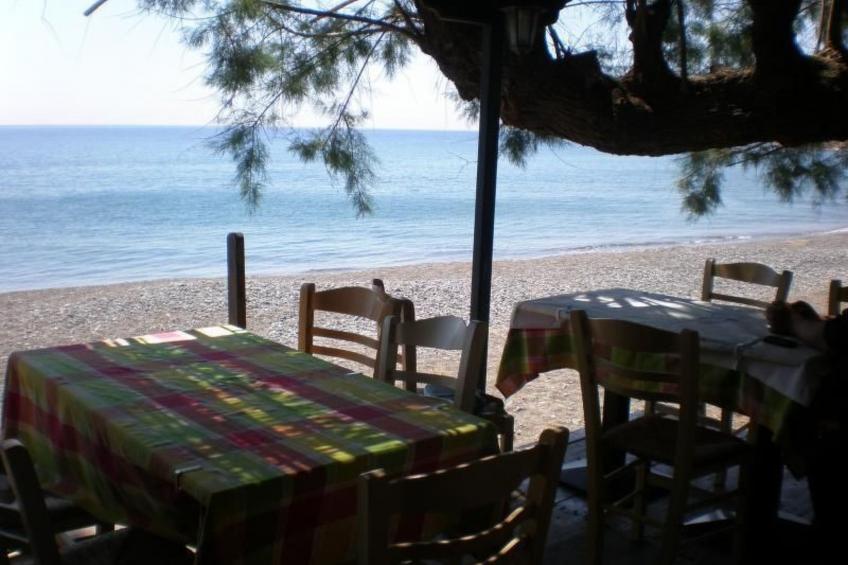 Spiti Limnos, idyllisch gelegen im Orangenhain - foto 12