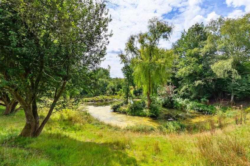 Sandhill Cottage with Hot Tub - foto 4