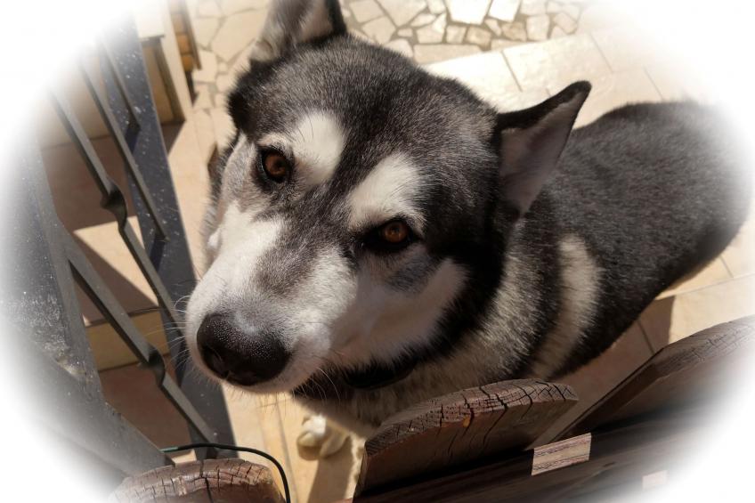 Apartment TOP 1 - foto 32