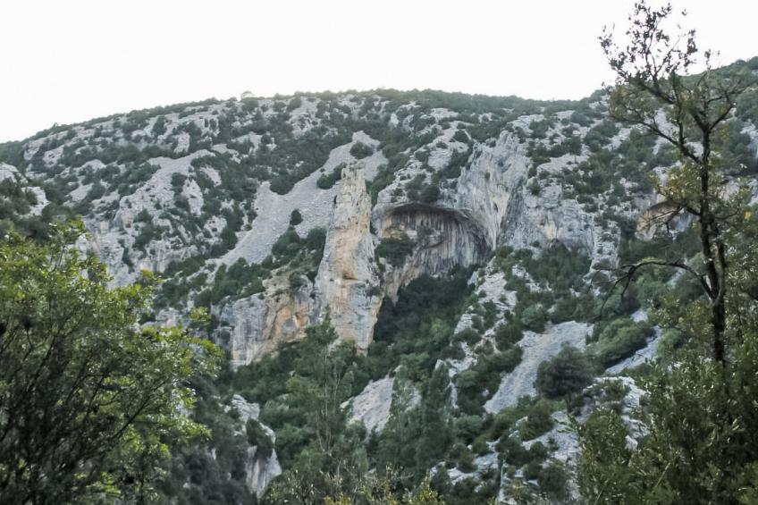 Javier Haus - foto 12