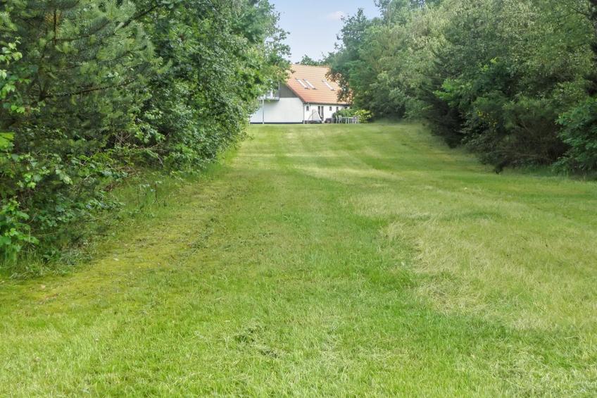 "Beatha" - 25km to the inlet in Western Jutland - foto 9