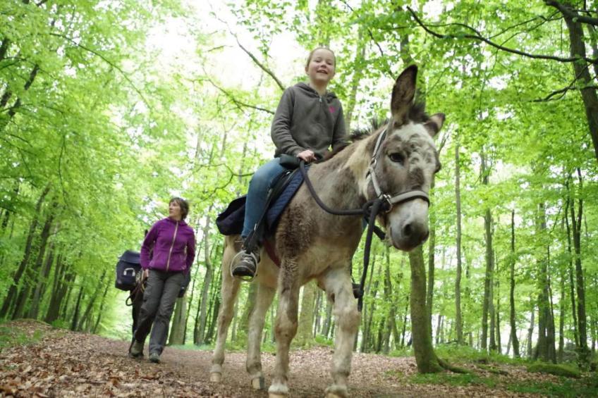 Holiday home for 8 peoples - foto 8