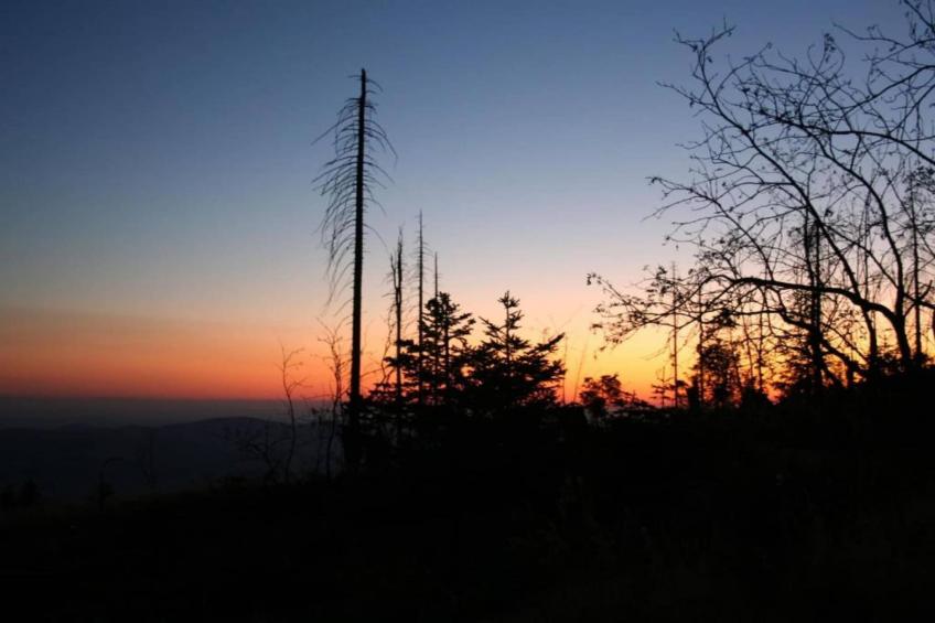 Im Bayerischen Wald - foto 26