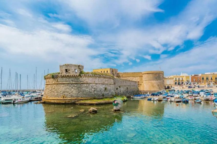 TS Trilo -1 - foto 29