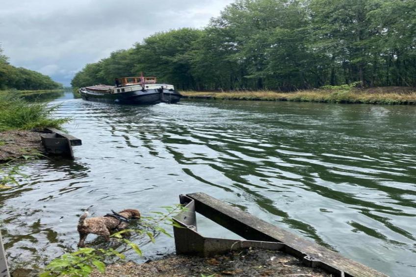 Luxe O'Hara - foto 31