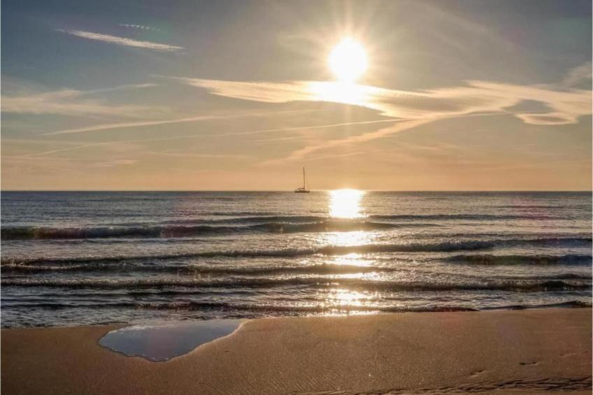 Fleur de Sel - Aigues Mortes - foto 27