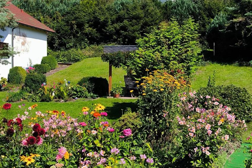 Am Springelbach - foto 19