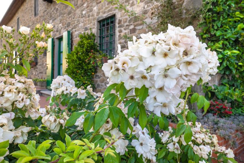 mit Privatparkplatz - foto 8