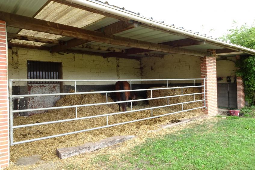 Holiday home Denneville - foto 14