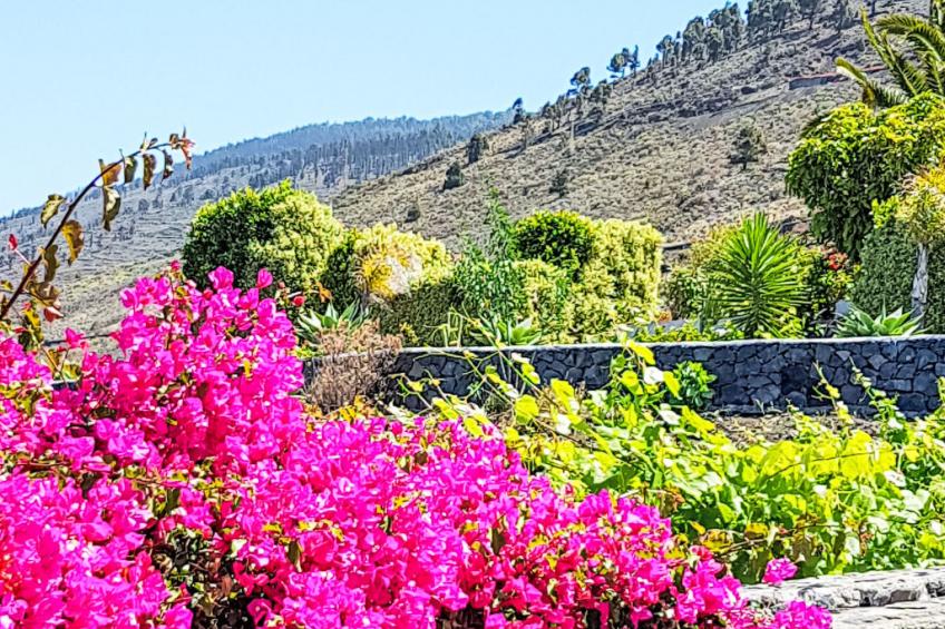 "Las Viñas" mit Wasserblick - foto 9