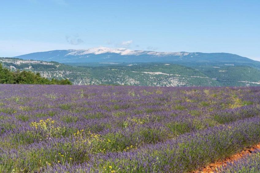 Villa Ninon - foto 39