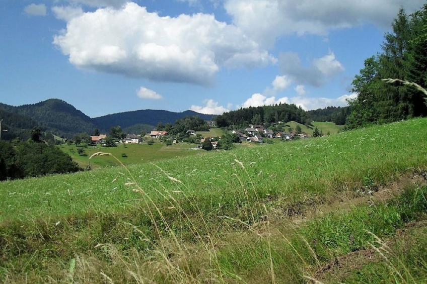 Haus Alpenblick - foto 28