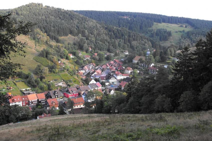 Wildemann - foto 20